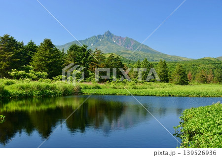 新緑に包まれた利尻島　利尻岳 139526936