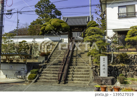 笠岡市街地 威徳寺 山門 岡山県笠岡市 笠岡市街地 威徳寺 山門 岡山県笠岡市 139527019