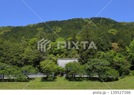 ロマンチック茨城（恋瀬川の源である板敷山の大覚寺。春光のなか目覚める若葉に包まれる。）石岡市、大覚山 139527166