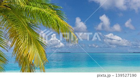 Palm leaves framing vivid blue sky and ocean, idyllic summer tropical holiday, breathtaking travel wallpaper, dreamy luminous paradise destination background Palm leaves framing vivid blue sky and ocean, idyllic summer tropical holiday, breathtaking travel wallpaper, dreamy luminous paradise destination background 139527190
