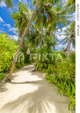 Sandy tropical island resort path lined with palm trees, lush jungle scenery, exotic nature landscape, breathtaking sunny summer weather, dreamy scenic paradise destination Sandy tropical island resort path lined with palm trees, lush jungle scenery, exotic nature landscape, breathtaking sunny summer weather, dreamy scenic paradise destination 139527199