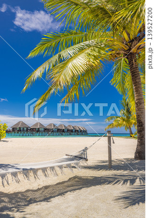 Peaceful Maldives beach with palm trees hammock, turquoise ocean view, luxury water villas, breathtaking tropical paradise scenery, famous dreamy travel destination background Peaceful Maldives beach with palm trees hammock, turquoise ocean view, luxury water villas, breathtaking tropical paradise scenery, famous dreamy travel destination background 139527200