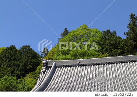 ロマンチック茨城(春の光のなか天に向かって、若葉燃ゆる。)石岡市、板敷山大覚寺 ロマンチック茨城(春の光のなか天に向かって、若葉燃ゆる。)石岡市、板敷山大覚寺 139527228
