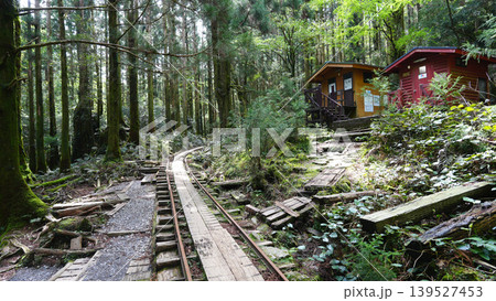 縄文杉トレッキング トロッコ道 屋久島 縄文杉トレッキング トロッコ道 屋久島 139527453