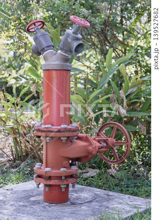 Standing as a steadfast sentinel amidst a verdant landscape, a weathered red hydrant serves as a silent, utilitarian guardian. Its industrial form, marked by a gentle patina, offers a striking Standing as a steadfast sentinel amidst a verdant landscape, a weathered red hydrant serves as a silent, utilitarian guardian. Its industrial form, marked by a gentle patina, offers a striking 139527682