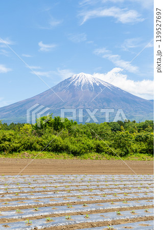 富士宮市から眺める富士山 139527697