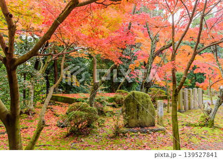 京都・光明寺の紅葉 鮮やかなもみじに包まれる塩田紅果の句碑と散り紅葉の風景 京都・光明寺の紅葉 鮮やかなもみじに包まれる塩田紅果の句碑と散り紅葉の風景 139527841