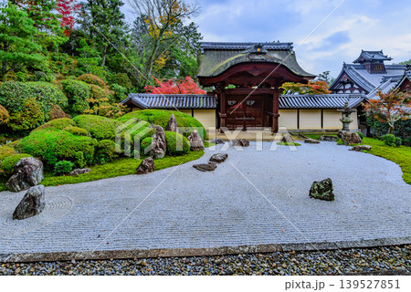 京都・光明寺 釈迦堂から望む信楽庭の紅葉と白砂が美しい枯山水庭園 京都・光明寺 釈迦堂から望む信楽庭の紅葉と白砂が美しい枯山水庭園 139527851