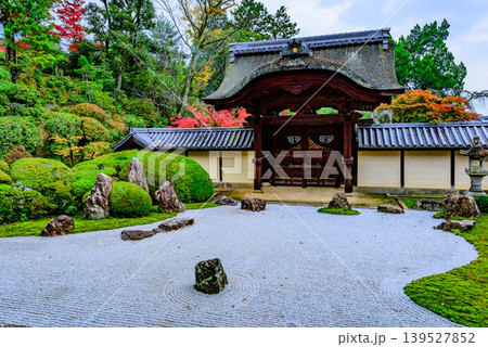京都・光明寺 釈迦堂から望む信楽庭の紅葉と白砂が美しい枯山水庭園 京都・光明寺 釈迦堂から望む信楽庭の紅葉と白砂が美しい枯山水庭園 139527852