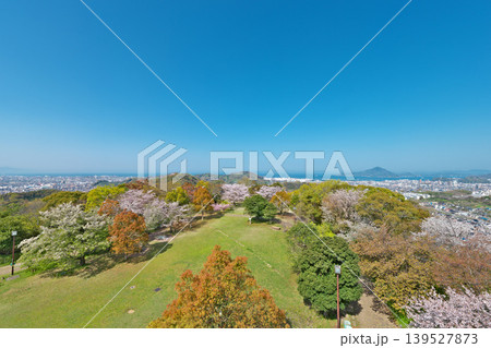 【松山総合公園より松山市内を一望】 愛媛県松山市朝日ヶ丘 139527873