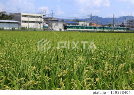 京阪交野線その3 京阪交野線その3 139528404