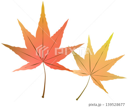 紅葉したモミジのイラスト 139528677