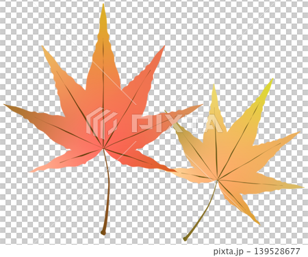 紅葉したモミジのイラスト 139528677