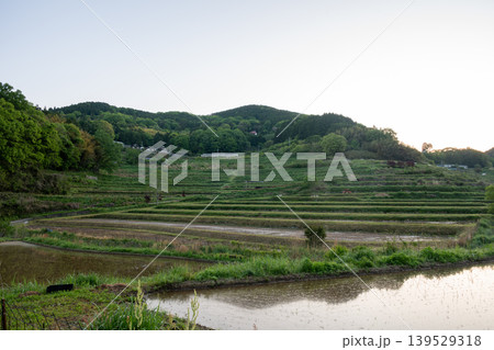 日本の岡山県美咲町のとても美しい棚田 日本の岡山県美咲町のとても美しい棚田 139529318
