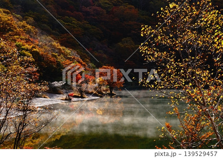 【赤城山】小沼の紅葉 【赤城山】小沼の紅葉 139529457