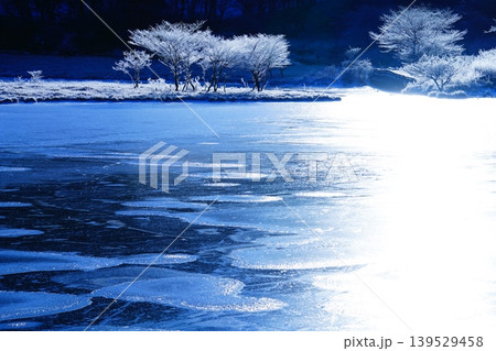 【赤城山】覚満淵 【赤城山】覚満淵 139529458
