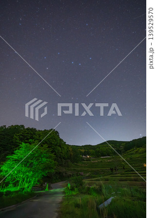 日本の岡山県美咲町のとても美しい夜の棚田 139529570