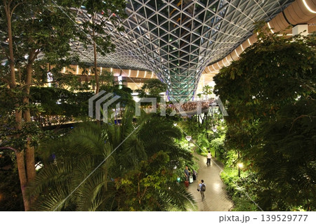 カタール　ドーハ・ハマド国際空港内のジ・オーチャード（熱帯植物園）の夜景 139529777
