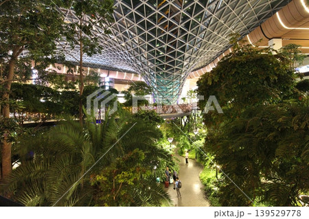 カタール　ドーハ・ハマド国際空港内のジ・オーチャード（熱帯植物園）の夜景 139529778