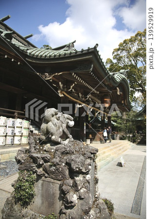 筑波山神社、楼門と宝物殿、狛犬、マスク 筑波山神社、楼門と宝物殿、狛犬、マスク 139529919