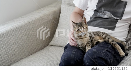 膝の上で見つめるキジトラ子猫 139531122