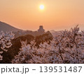 愛知県 夕暮れの犬山城と桜 2026 139531487