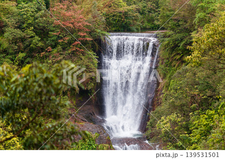 Sandiaoling Waterfall Panorama Surrounded by Lush Spring Forest Taiwan 139531501