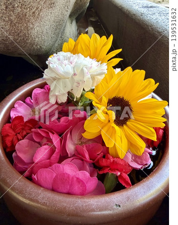 5月のカラフルな花手水(向日葵・カーネーション・薔薇)〈菅生神社/愛知県岡崎市〉 5月のカラフルな花手水(向日葵・カーネーション・薔薇)〈菅生神社/愛知県岡崎市〉 139531632