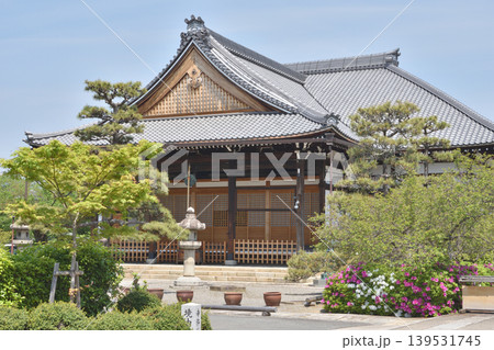 妙蓮寺の本堂 139531745