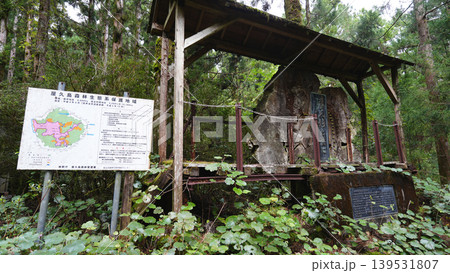 縄文杉トレッキング 屋久島 縄文杉トレッキング 屋久島 139531807