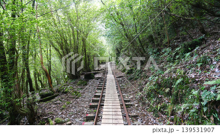縄文杉トレッキング トロッコ道 屋久島 139531907