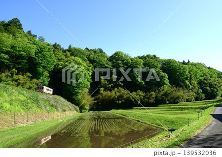 明知鉄道沿線の田植え風景 明知鉄道沿線の田植え風景 139532036