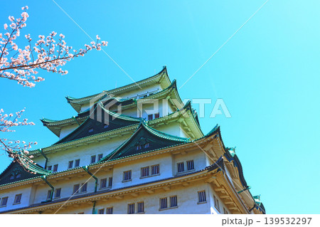 愛知県名古屋市、満開の桜と名古屋城の風景 139532297