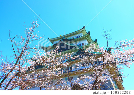 愛知県名古屋市、満開の桜と名古屋城の風景 139532298