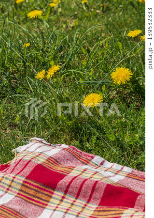 The red, white, and yellow patterned picnic blanket laid on green grass with a dandelion flowers around 139532333