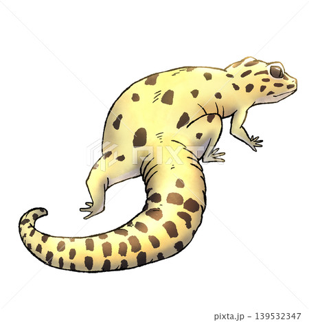 ヒョウモントカゲモドキの後ろ姿 139532347