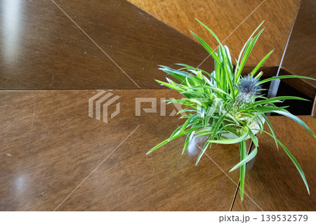 木製テーブルに置かれたオリヅルランの鉢植え 木製テーブルに置かれたオリヅルランの鉢植え 139532579
