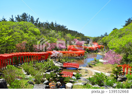 春の高山稲荷神社 春の高山稲荷神社 139532668