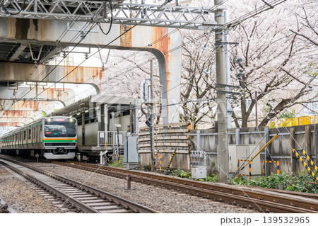 【西大井駅】満開の桜と湘南新宿ラインの電車 【西大井駅】満開の桜と湘南新宿ラインの電車 139532965