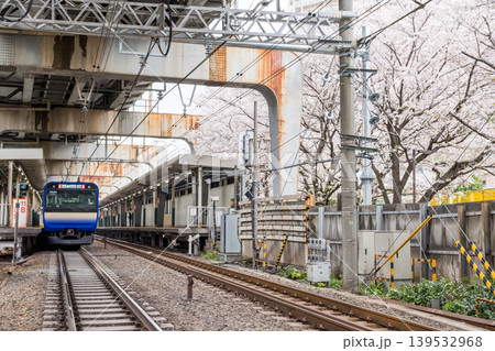 【西大井駅】満開の桜と横須賀・総武快速線の電車 【西大井駅】満開の桜と横須賀・総武快速線の電車 139532968