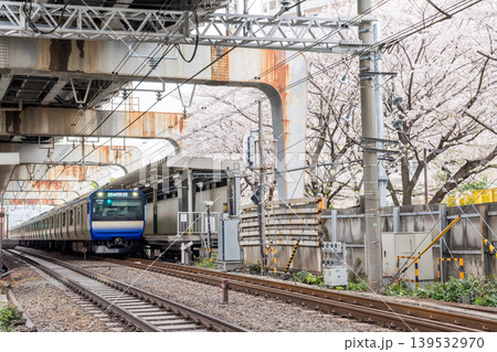 【西大井駅】満開の桜と横須賀・総武快速線の電車 139532970