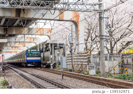 【西大井駅】満開の桜と横須賀・総武快速線の電車 【西大井駅】満開の桜と横須賀・総武快速線の電車 139532971
