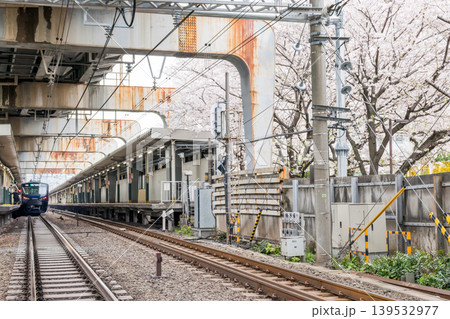 【西大井駅】満開の桜と相鉄・JR直通線の電車 【西大井駅】満開の桜と相鉄・JR直通線の電車 139532977