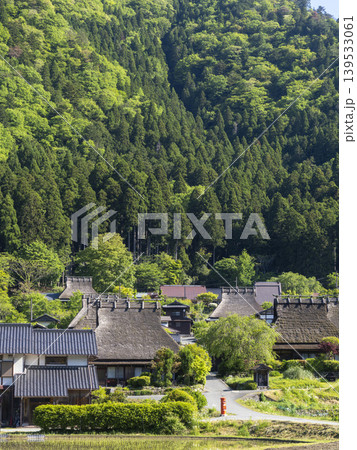 鮮やかな新緑に覆われた美山かやぶきの里 139533061