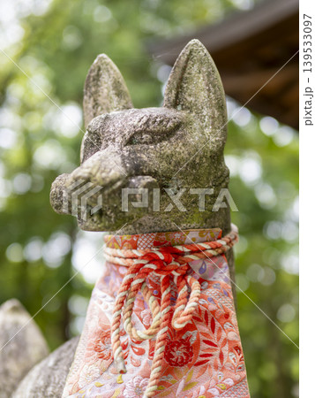 稲荷神社の狛狐 稲荷神社の狛狐 139533097