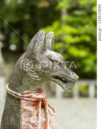 稲荷神社の狛狐 稲荷神社の狛狐 139533099