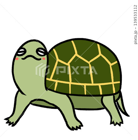 のんびりカメ 139533112