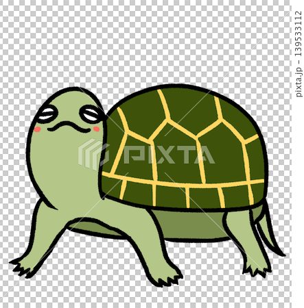 のんびりカメ 139533112