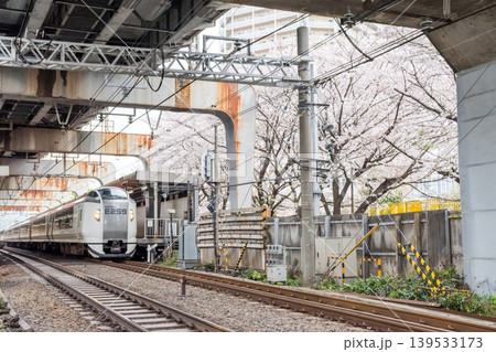【西大井駅】満開の桜と特急成田エクスプレス 139533173