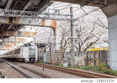 【西大井駅】満開の桜と特急成田エクスプレス 139533174